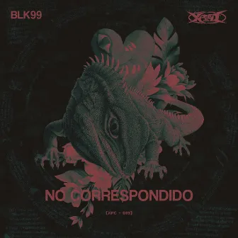 NO CORRESPONDIDO by BLK99