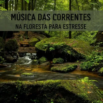 Música Das Correntes Na Floresta Para Estresse by Música de Relaxamento No Spa