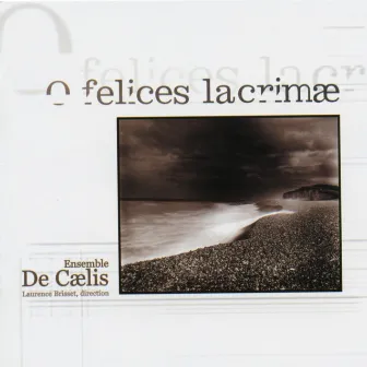 O felices lacrimae by Laurence Brisset