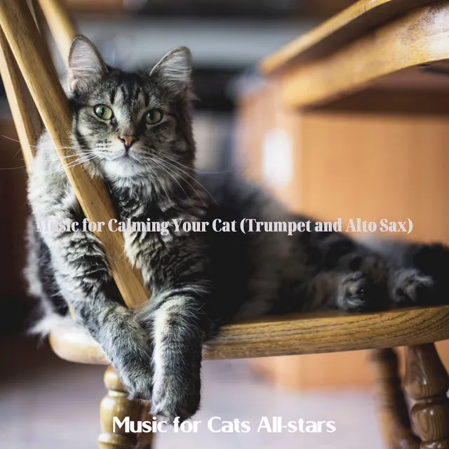 Music for Calming Your Cat (Trumpet and Alto Sax)