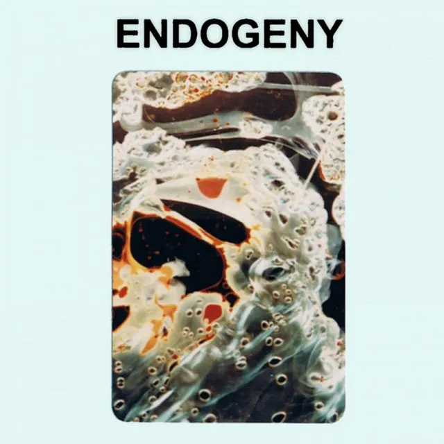 Endogeny