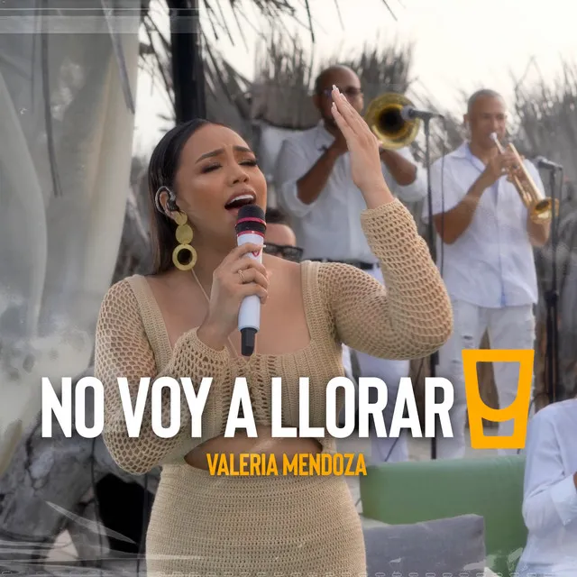 No Voy A Llorar - En Vivo