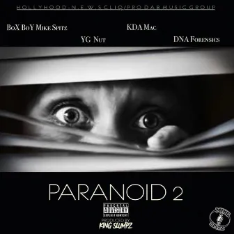 Paranoid 2 by Box Boy Mike Spitz