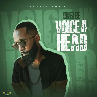 Voice in My Head by Drezee