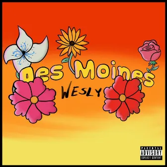 Des Moines by Wesly