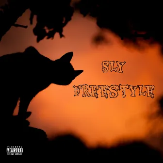 Sly Freestyle by Jayconi