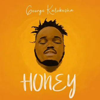 Honey by George Kalukusha