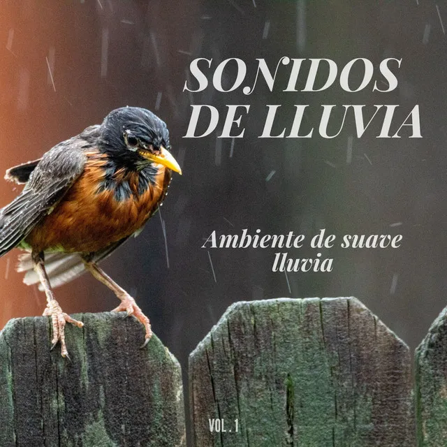 Sonidos de lluvia: Ambiente de suave lluvia Vol.1