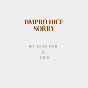 BMPRO Dice Sorry by EG ONLY ONE