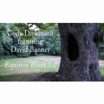 Equinox Blues 3.0 by Cody Dickinson