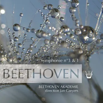 Beethoven Akademie, Jan Caeyers - Beethoven : Symphonies No. 3 & No. 1, vol. 2 by Jan Caeyers