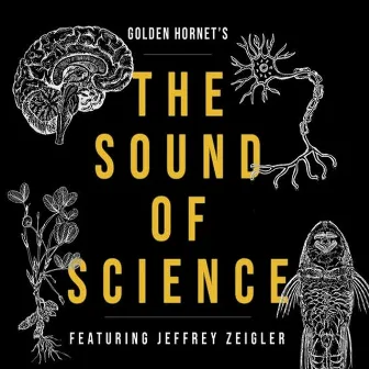 The Sound of Science by Golden Hornet