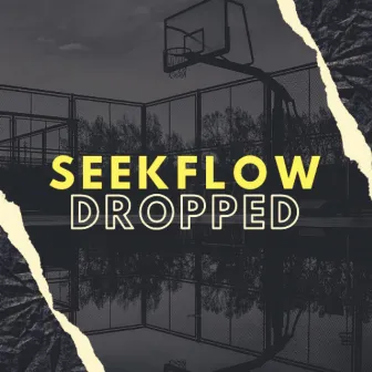 Dropped by SeekFlow