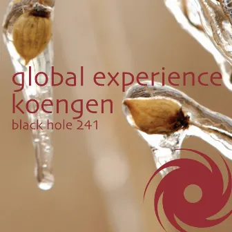 Koengen by Global Experience