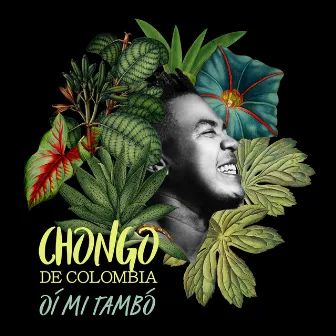 Oí Mi Tambó by Chongo de Colombia