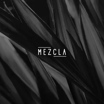 Mezcla - Random Collective Records by Funka