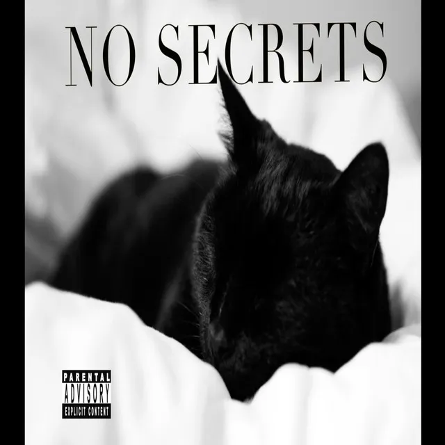 No Secrets