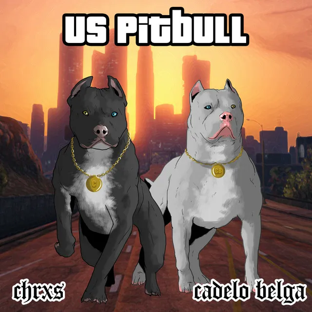 Us Pitbull