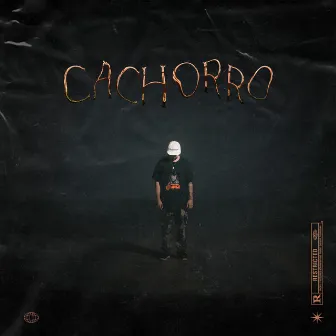 Cachorro by Rivero