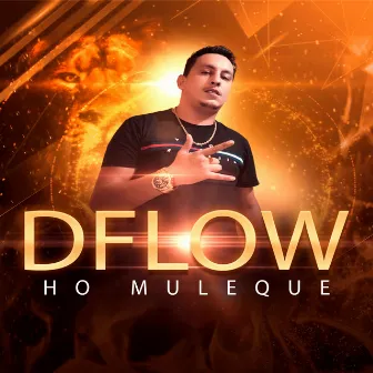 Ho Muleque by D´FLOW