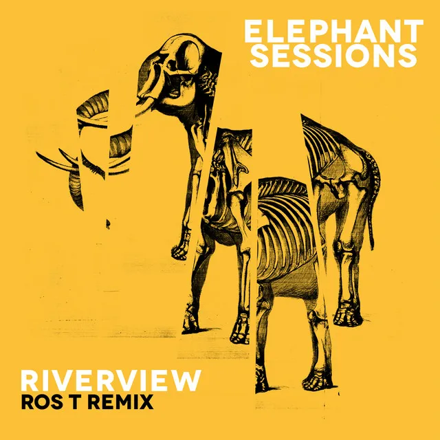 Riverview (Ros T Remix)