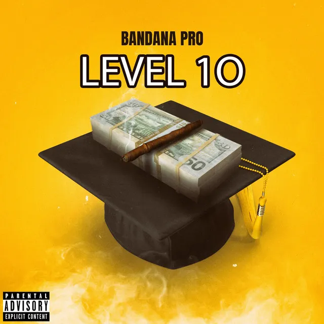 Level 10