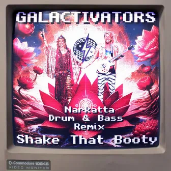 Shake That Booty (Narkatta Drum & Bass Remix) by Galactivators