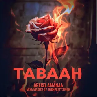 Tabaah by Amanaa