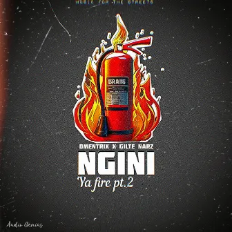 Ngini Ya Fire (Pt. 2) by Omentrix