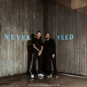 Never Need by Hogland