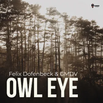 Owl Eye by Felix Dofenbeck