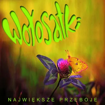 Największe przeboje by Wołosatki