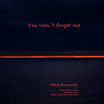 You Won't Forget Me by Helle Brunvoll