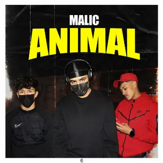 Animal by Malic