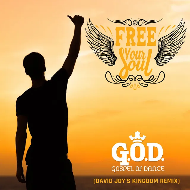 Free Your Soul (David Joy's Kingdom Remix)