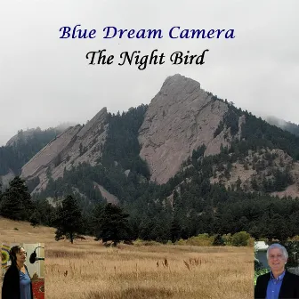 The Night Bird by Blue Dream Camera