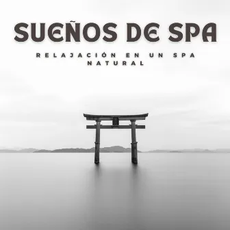 Sueños de Spa: Relajación en un Spa Natural by Colectivo de música de spa