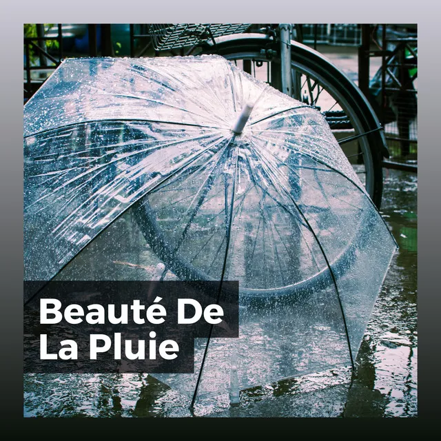 Beauté De La Pluie