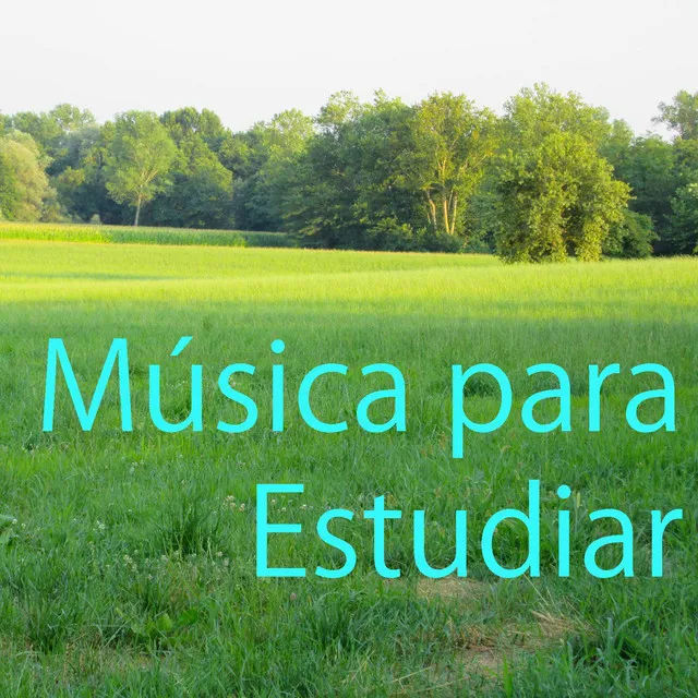 Música para Estudiar 1