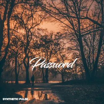 Password by Synthetic Pulse