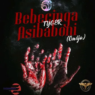 Bebecinga Asibaboni by Tyger