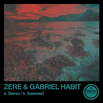 Stereo / Seaweed by Zere