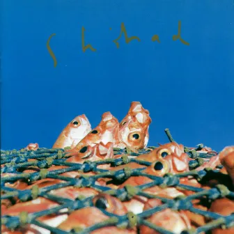 Shihad (Remastered) by Shihad