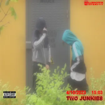 TWO JUNKIES by 