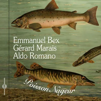 Poisson Nageur by Gérard Marais