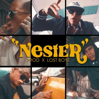 Nester by Nester