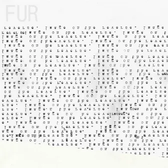 Image on the Reverse by Fur