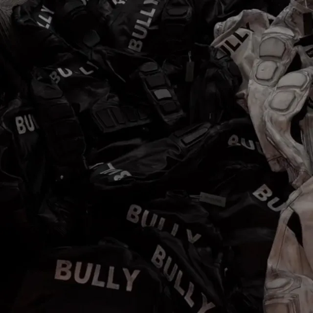 bully jacket