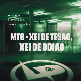 Mtg - Xei de Tesão, Xei de Odião by Dj mega