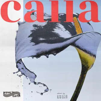 calla by wave to earth